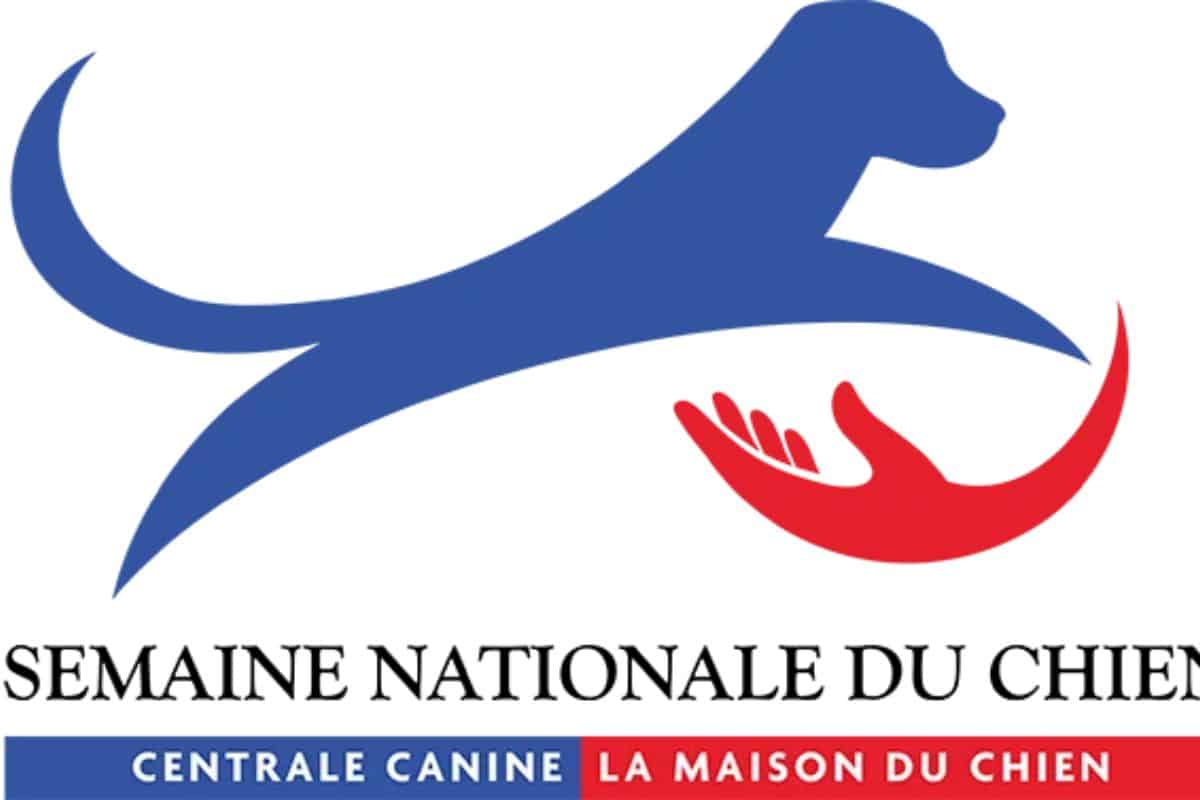 Semaine nationale du chien du 26 septembre au 4 octobre
