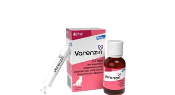 Varenzin nouveau médicament pour l'anémie chez le chat