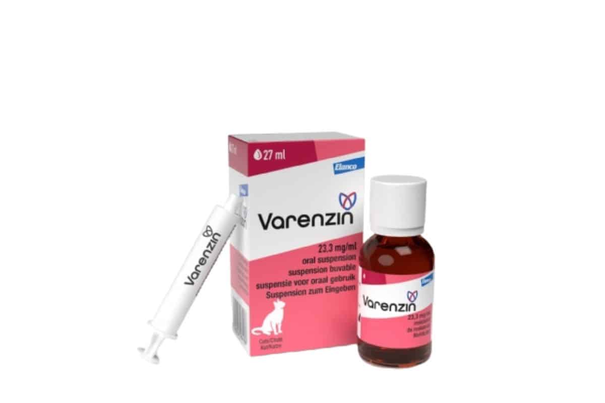 Varenzin nouveau médicament pour l'anémie chez le chat