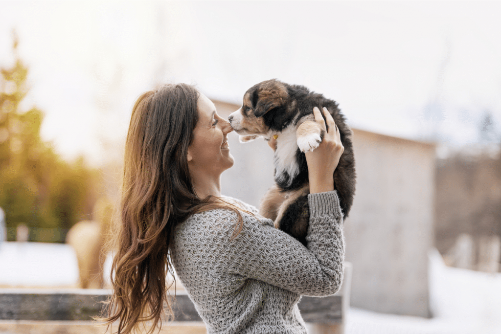 Ce qu'il faut savoir avant d'adopter un chien