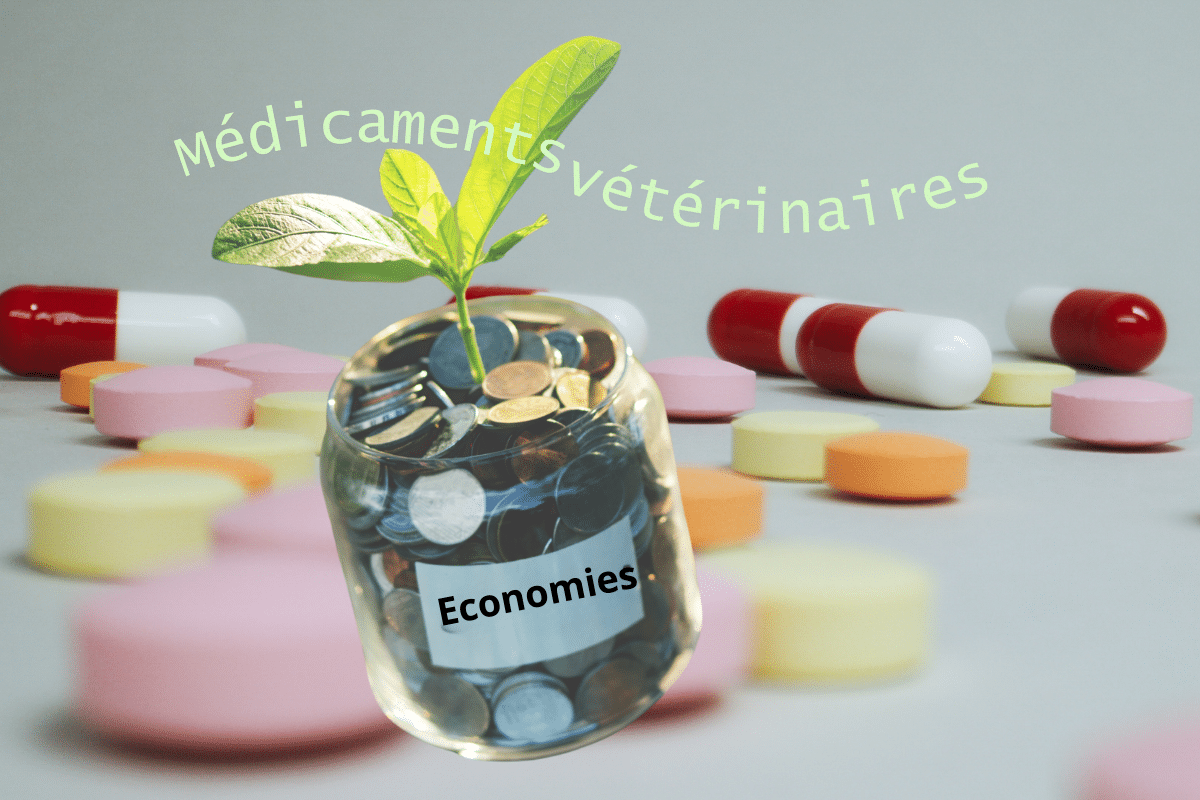 faire des économies sur les médicaments vétérinaires