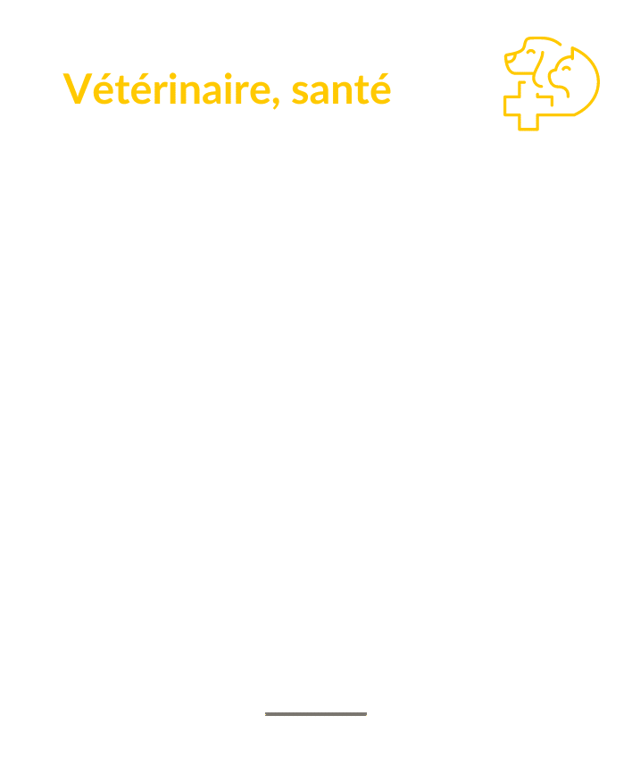 Conseils vétérinaires et santé pour animaux