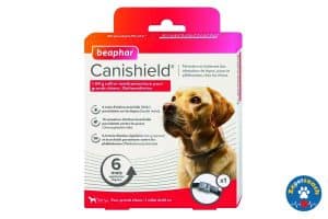 Canishield chien