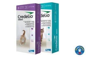 Credelio 48mg Chat