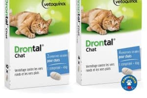 Drontal Chat