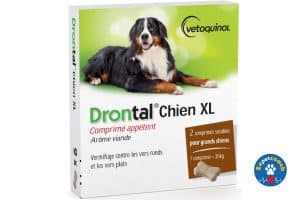Drontal XL Chien