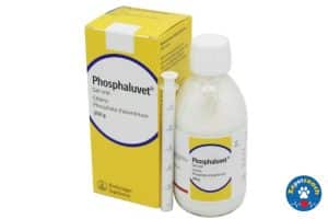 Phosphaluvet